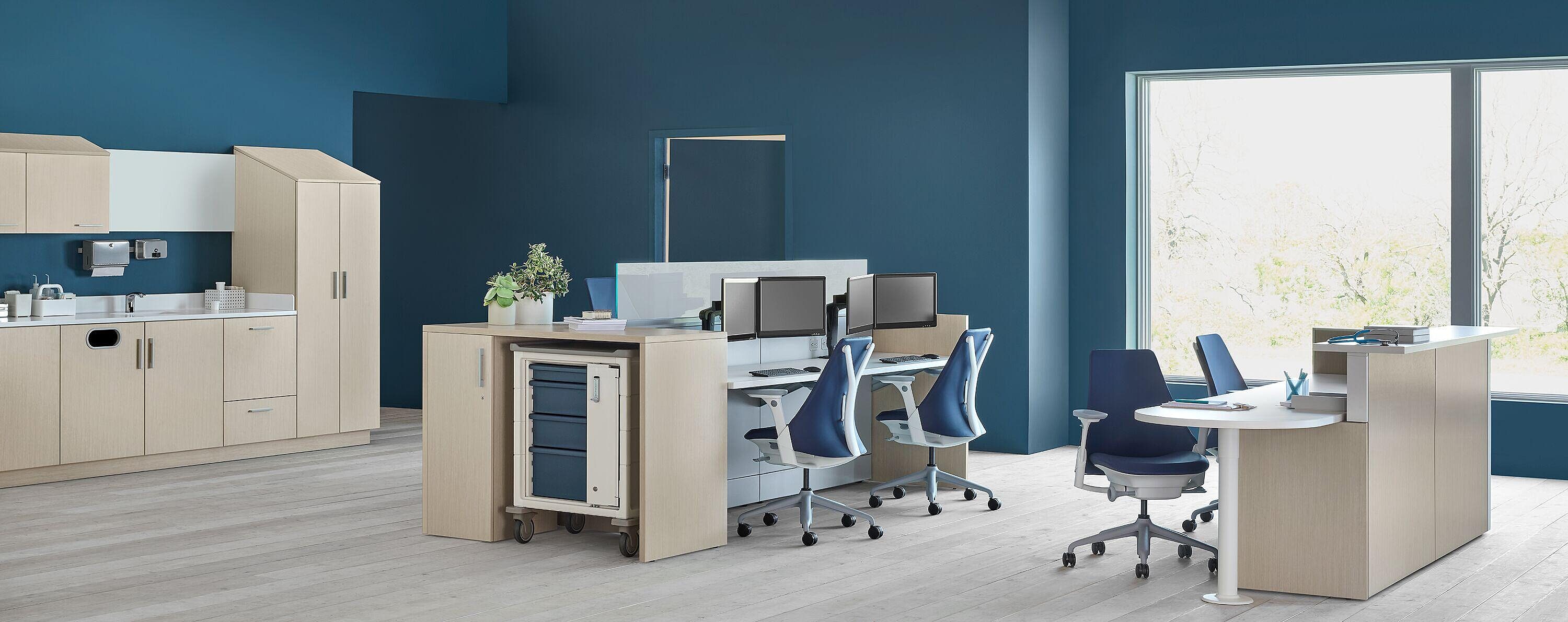 ash Ethospace nurse's station and casework with blue walls
