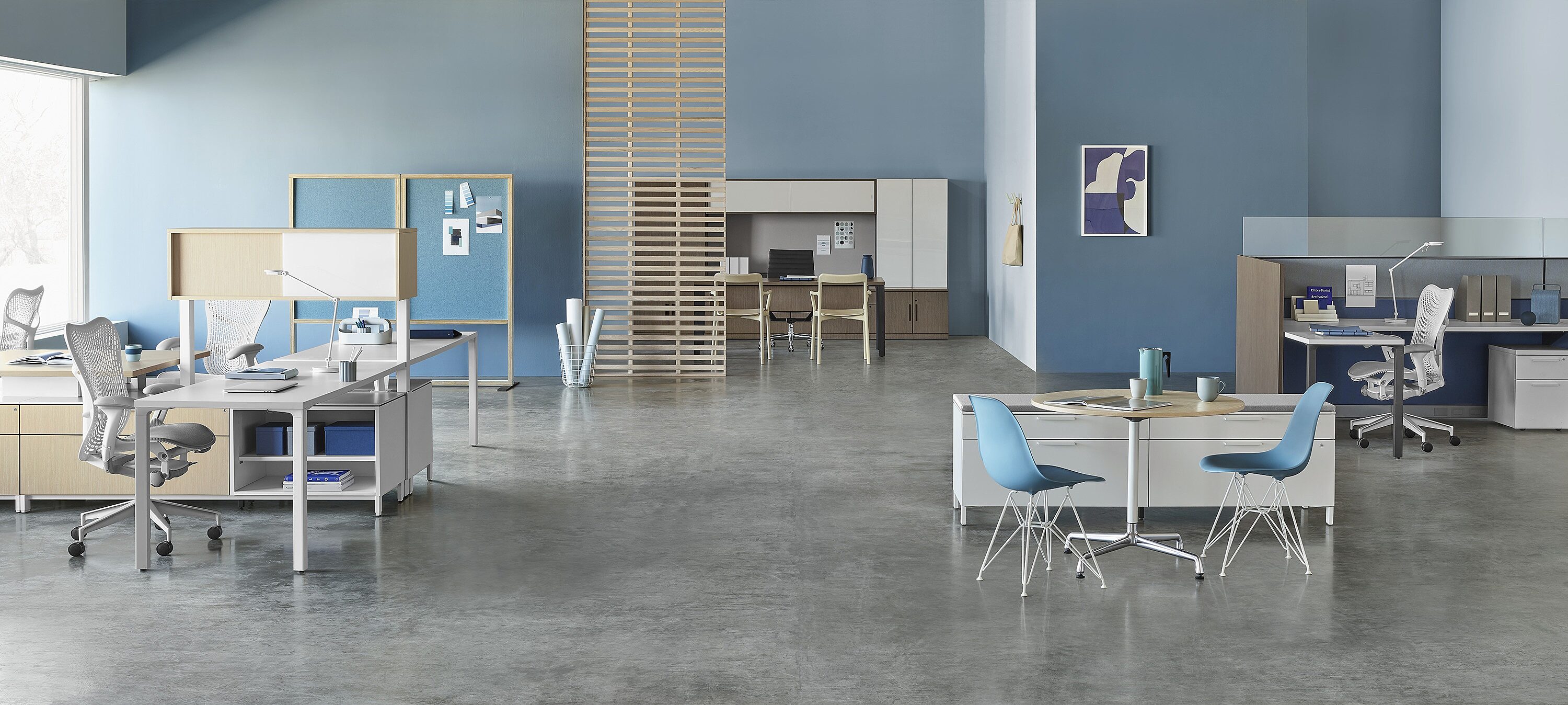 blue walls with white and ash workstations