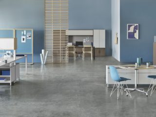 blue walls with white and ash workstations